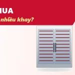Nên mua máy sấy thực phẩm nhiều khay hay mua nhiều máy?